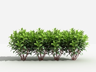 Modern Shrub Gold Vein Jue Bed 3d model