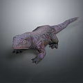 Vibrant Purple and Pink Lizard with Patterned Skin 3D Model on Gray Background