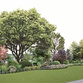 Beautiful Flowers and Plants in Lush Garden with Tall Trees Colorful Shrubs and Green Lawn