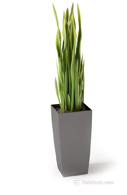 Tall Bonsai Potted Plant With Green Yellow Striped Leaves In Gray Square Pot 3d model 