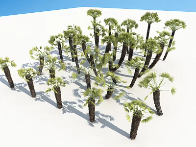 Group of Palm Trees With Green Leaves And Brown Trunks On White Background 3d model