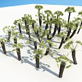 Group of Palm Trees With Green Leaves And Brown Trunks On White Background