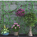 Vine Covered Lattice Background With Purple Flower Ball Potted Plants Pink Flowers And Green Shrubs