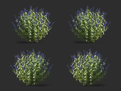 Lush Bushy Plants With Purple Flowers And Green Leaves For Garden Decoration 3d model