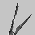 Elongated Skeletal Bones With Cracked Texture And Irregular Edges