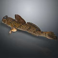 Mudskipper with Brown Yellow Coloration Large Eyes and Dorsal Fins Unique Body Structure