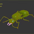 Green Shiny Ant 3D Model With Detailed Body And Legs On Gray Background