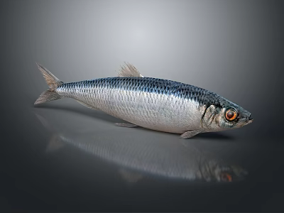 Silver Fish with Black Stripes and Red Eyes on Gray Background with Reflection 3d model