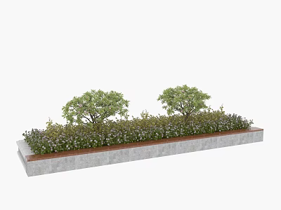 Bonsai Potted Plants With Two Trees And Low Green Plants In Long Concrete Planter 3d model