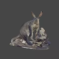 Dark Fur Anteater Taxidermy Specimen With Long Snout And Large Ears