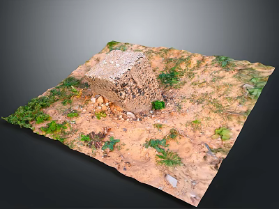 Rough Natural Stone Block on Square Dirt Ground Surrounded by Small Stones and Green Plants 3d model