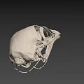 Detailed Bird Skull Anatomy With Intricate Skeletal Structure On Black Background