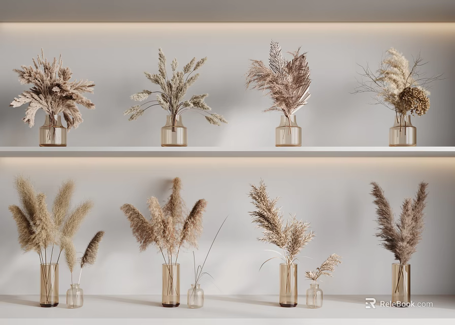 Dried Pampas Grass Arranged in Glass Vases on White Shelves with Natural Neutral Tones 3d model 