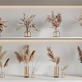 Dried Pampas Grass Arranged in Glass Vases on White Shelves with Natural Neutral Tones