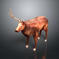 Realistic 3D Deer Model With Large Antlers Brown Coat And White Hooves