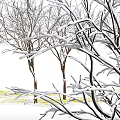 Snow Covered Tree Branches With Yellow Grass On White Ground 3d model