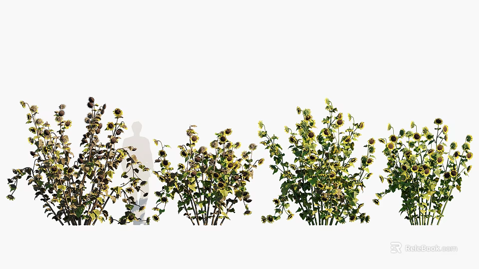 Lush Crops Growing in Agricultural Field With Green Leaves And Healthy Stems 3d model 