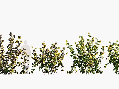 Lush Crops Growing in Agricultural Field With Green Leaves And Healthy Stems 3d model