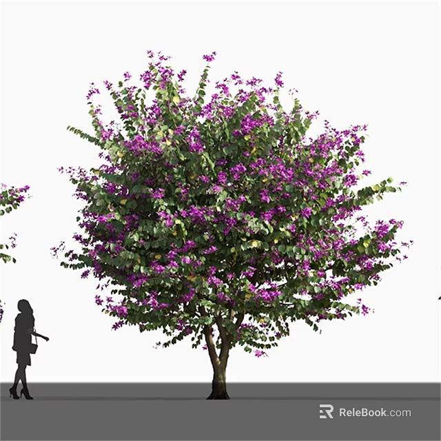 Lush Flowering Arbor With Purple Blooms And Person Silhouette In Outdoor Scene 3d model 