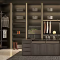 Modern Walk in Closet Interior Design With Hanging Rods Shelves And Storage Cabinets