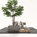 Modern Multi Seat Sofa with Gray Cushions Wooden Frame Side Table and Potted Tree