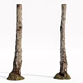 Two Tree Trunks With Rough Bark And Root Base On White Background 3d model