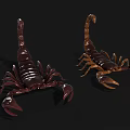 Two Detailed Realistic Scorpion Models In Brown And Golden Tones On Black Background