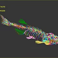 Detailed Fish Skeleton Structure With Complete Bone Remains On Dark Reflective Surface 3d model