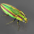 Vibrant Green And Red Striped Reptile With Shiny Scales On Gray Background Surface