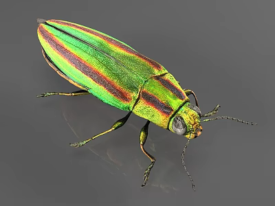 Vibrant Green And Red Striped Reptile With Shiny Scales On Gray Background Surface 3d model