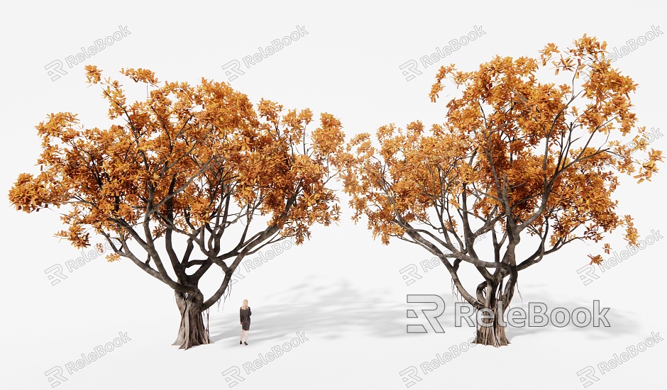 Landscape Tree Banyan Tree Big Tree Landscape Tree model