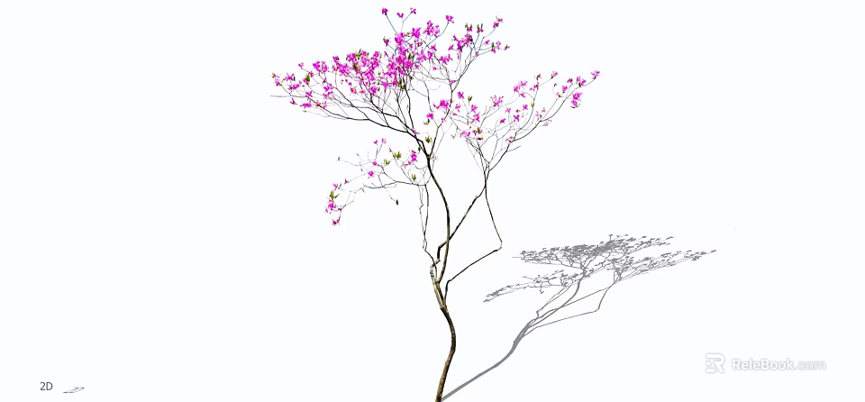 Ornamental Arbor with Pink Blossoms Slender Branches and Natural Shadow 3d model 