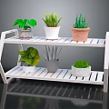 Stylish Two Tiered White Wooden Shelf With Potted Green Plants And Colored Pots