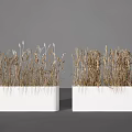 Dried Herb Potted Plants In White Rectangular Pots On Gray Background 3d model
