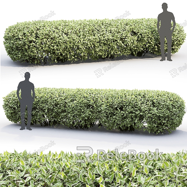 Hedge Square Hedge Green Belt Plant Isolation Belt Greening Wall Shrub model