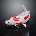 White and Red Koi Fish with Colorful Spots Fins and Tail on Dark Reflective Surface
