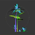 Colorful Tropical Palm Trees With Small Green Plants On Dark Background Reflection