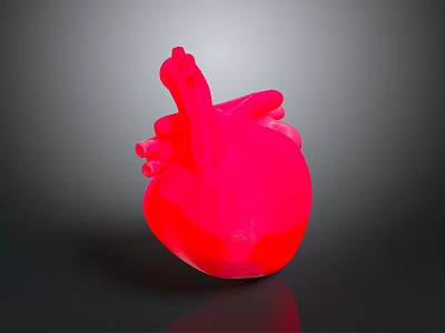 Red 3D Rendered Human Heart Model With Glossy Texture On Dark Background 3d model