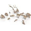 Scattered Animal Skeletons with Deer Antlers and Multiple Bone Structures on White Background