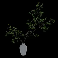 White Vase With Green Leaf Branches On Black Minimalist Background 3d model