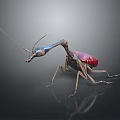 3D Mantis Model With Red Body Blue Head Long Legs And Antennae On Dark Background