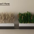 Stylish Plant Combination with Wheat like Grass and Green Foliage in Black White Containers