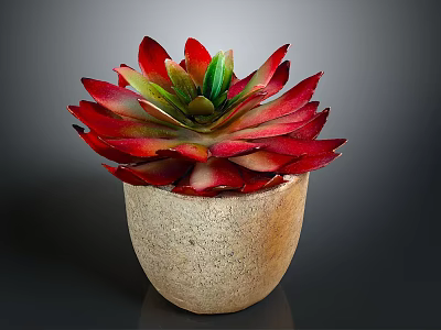 Red Leaf Succulent Plant In Natural Stone Pot With Green Center And Vibrant Foliage 3d model