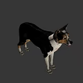 Realistic Game Movie Character Dog With Black White Coat Standing Pose