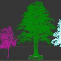 Three Trees Featuring One Large And Two Smaller With Lush Green Leaves And Sturdy Trunks
