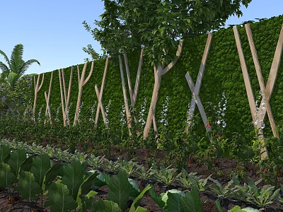 Lush Garden Landscape Design With Natural Vertical Green Wall And Organic Vegetable Planting Space 3d model