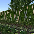 Lush Garden Landscape Design With Natural Vertical Green Wall And Organic Vegetable Planting Space