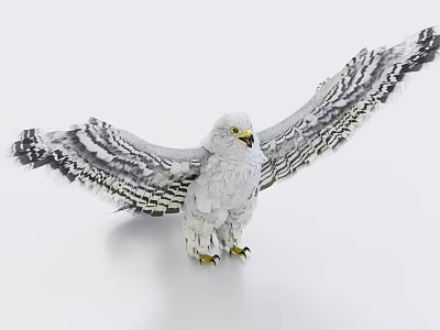 Realistic White Flying Eagle Spreading Its Wings Full View Isolated on White Background 3d model