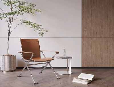 Brown Leather Leisure Chair with Metal Frame in Modern Indoor with Small Table and Plant 3d model