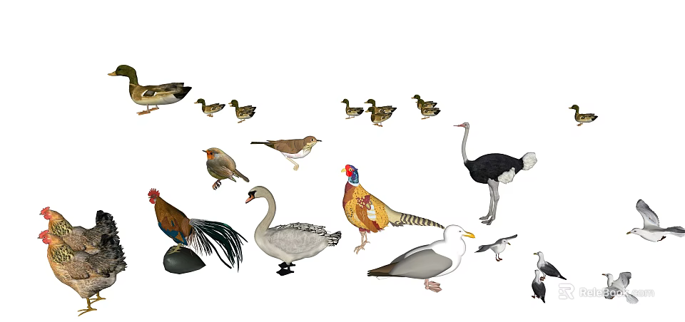 Diverse Reptile Species Including Lizards Snakes And Turtles In Natural Habitat 3d model 